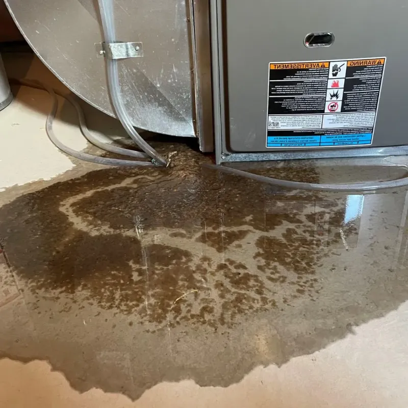 Pipe Burst and Leak Restoration in Decatur County, IA
